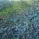 monika_m_seibel_earth 26